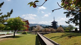 世界遺産に登録されている伽藍