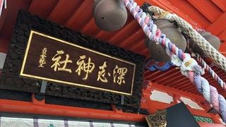 紅葉がとても綺麗な神社でして、七五三の方々が多かったです。