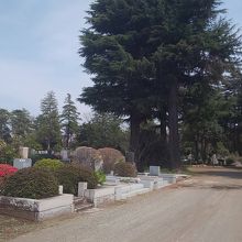 天気も晴れで散歩日和でした！