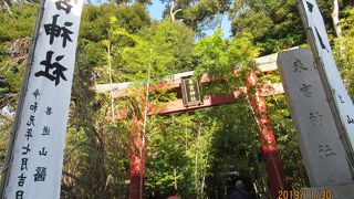 モダンな熱海の隠れた有名神社です