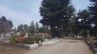 本当に広いお墓