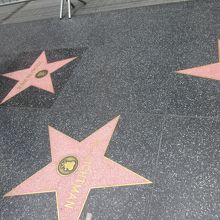 O Xrhsths 深田晃司 Sto Twitter Laのハリウッド大通りにはハリウッドスターやミュージシャン 有名人の名前を刻んだ星型のプレートがあるのだけど 実はそこにドナルド トランプ氏のプレートも で案の定この有様 抗議のラクガキや破損 悪戯に見舞われ封鎖されてい