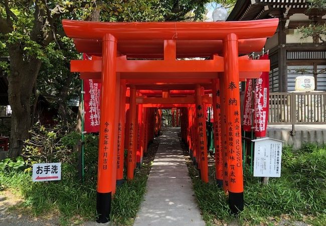 小さな朱色の鳥居が何重にも立っている