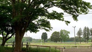 静かにひっそり