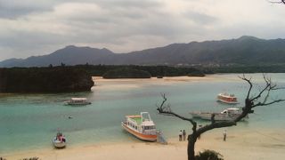 息を呑むほどの美しさ