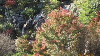 水量は少ないがきれいです