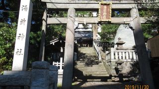 こじんまりと飾らない佇まい