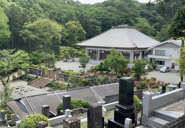 広い敷地にお花