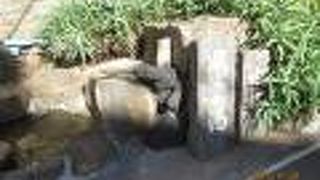 楽しい七湯巡り