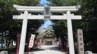 境内で桜は見られず