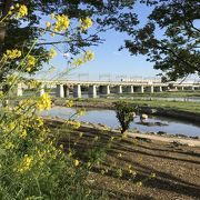兵庫島公園 クチコミ アクセス 営業時間 二子玉川 フォートラベル 兵庫島公園 クチコミ アクセス 営業時間 二子玉川 フォートラベル