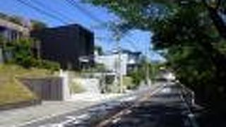 車の通りが多いので歩いて通る道ではないかな