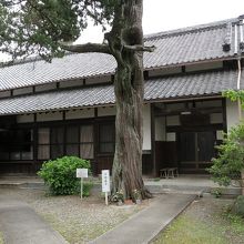 あの伊吹の根元に「子抱観音」