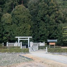 幹線道路沿いにある