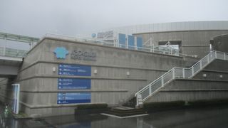 大きくなってきている