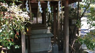 こじんまりしている