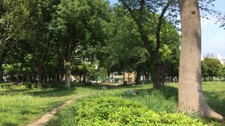 青山公園