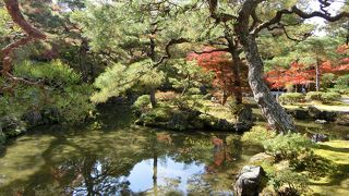 山からの湧き水