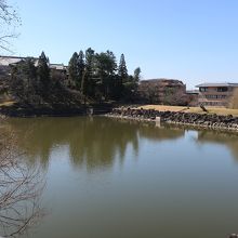 奈良公園近くだ