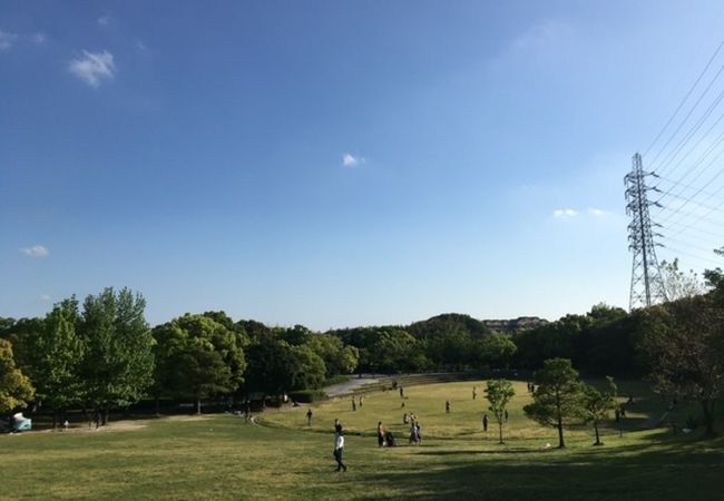 みどりがいっぱいの公園