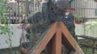 重かったでしょうね