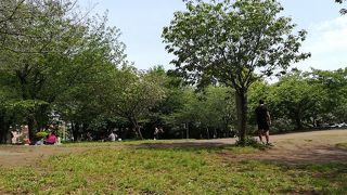 気持ちがいい散歩が出来ます