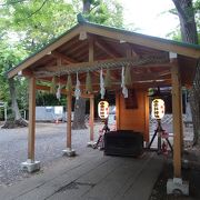 拝殿は改築中 （小金井神社）