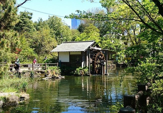 鍋島松濤公園 クチコミ アクセス 営業時間 渋谷 フォートラベル