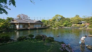 見ごたえのある庭園
