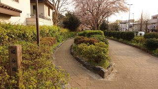 散策が楽しい遊歩道