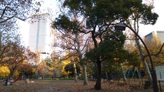 背後に高層ビルの姿も