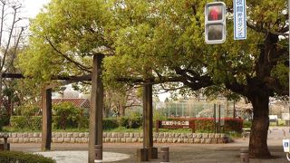 緑豊かな大きい公園