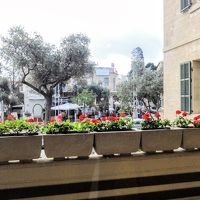 入口の花壇が向かえてくれます