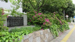 東京高等蚕糸学校発祥之地碑が建っています