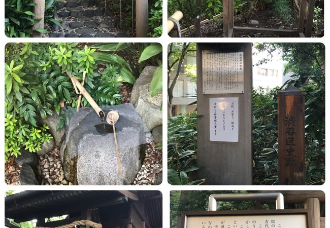 猿楽塚 猿楽神社 クチコミ アクセス 営業時間 恵比寿 代官山 フォートラベル 猿楽塚 猿楽神社 クチコミ アクセス 営業時間 恵比寿 代官山 フォートラベル