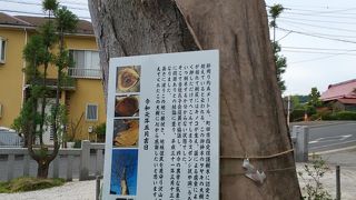 諏訪神社