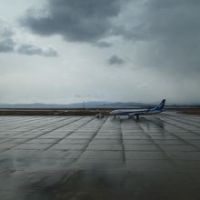 海につきだした空港。