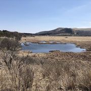 春先に行きまして、まだ湿原らしき碧さがありませんでしたが、湿原の全貌をよくみれました。