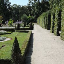 綺麗に刈りこまれた庭