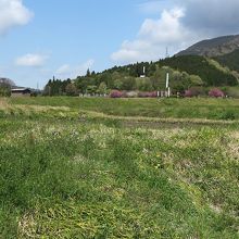 向こうに石田三成の幟のある笹尾山が見えてきました