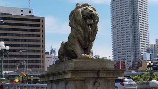 ライオンいてます