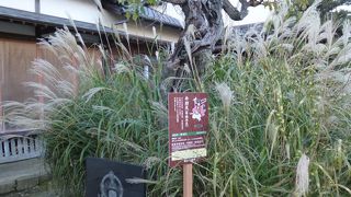 本堂内には閻魔大王が安置されています