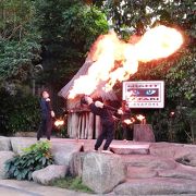 夜の動物園