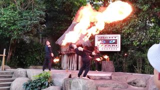 夜の動物園