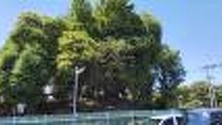 駐車場と民家のあいだにあります