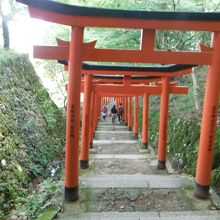 有子山稲荷神社(鳥居:下り方向)