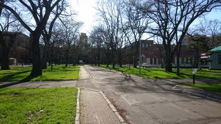 いつもと変わらぬ春です