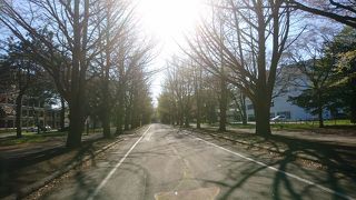 秋にはたくさんの人が訪れますように。