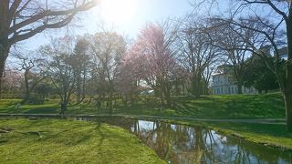 北海道大学の中を流れる川。