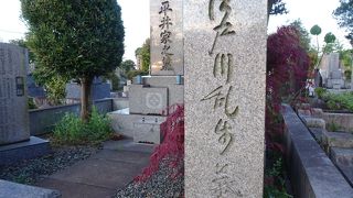 ペンネームの墓標があり分かりやすい （江戸川乱歩墓）